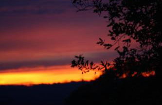 Reethus Stöfs - Foto 25