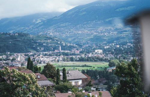 Der Ruibacher - Foto 8