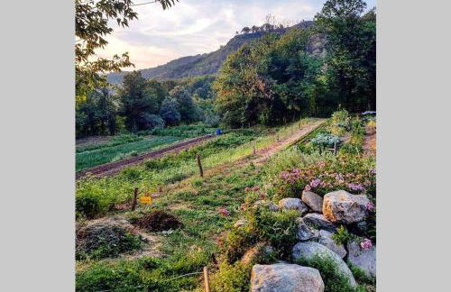 Le Gîte - La Ferme du Pouget - Foto 21
