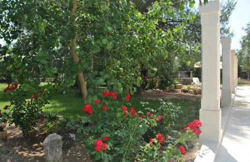 Tenuta La Spezia - Foto 27