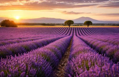 Villa Shaka Zulu - Foto 31