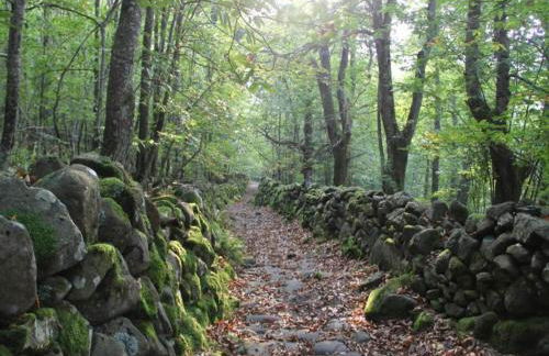 Apartment in Casola Near Torre di Casola - Foto 72