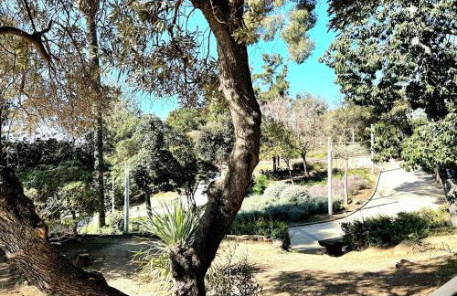 Oasis cerca de Barcelona - Photo 27