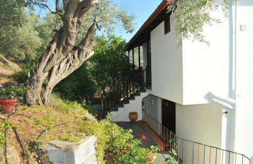 Violetta Studios & Apartments - Foto 24