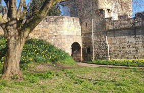 Victorian Farrar Cottage - Foto 48