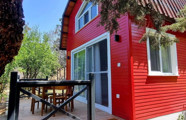 Sole Foca ( Ages 12+ ) - Foto 34