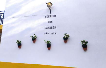 Los Cabales - Foto 42