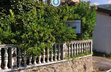 Rossese di sera - Foto 8