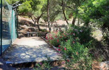 Appartement vue mer - Calme - Parking - Tennis - Piscine été - Foto 32