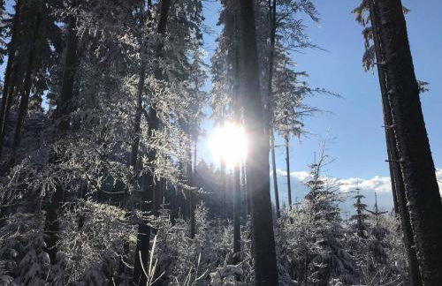 Ferienhaus Napoleon - Foto 39
