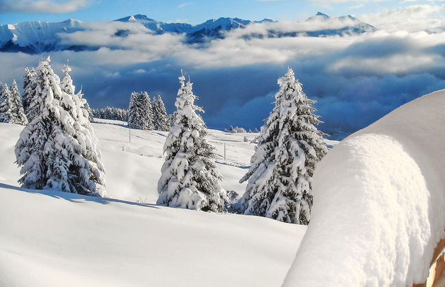 Maiensäss Komfort - Foto 45