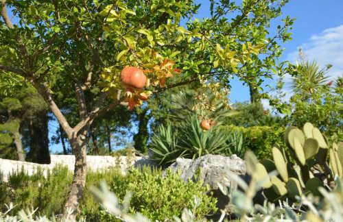 NIMA Cozy Stay Mlini - Foto 16