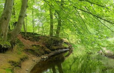 Ferienwohnung "Backsteinhaus Starkow" - Foto 19