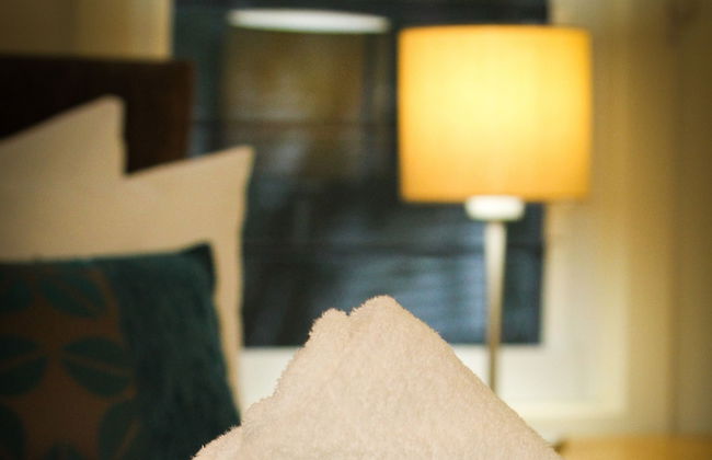 Edge on Beaches Agnes Waters 1770 - Photo 6