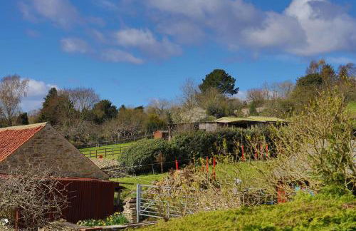 Dandelion Cottage - a gorgeous family cottage - Foto 21