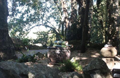 Los Acebos de Peña Cabarga, Cúpula experiencias - Foto 5