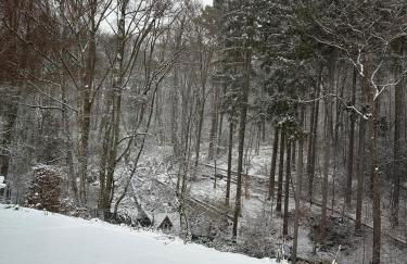 große und luxuriöse Ferienwohnung für max 8 Gäste - Foto 45