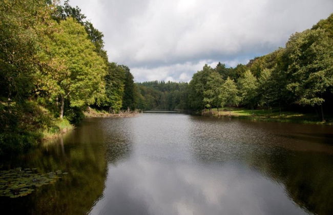 Group Villa With Sauna - Foto 23