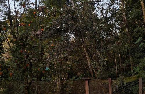 Chalé Lavanda - Espaço Garden Margarida - Foto 27