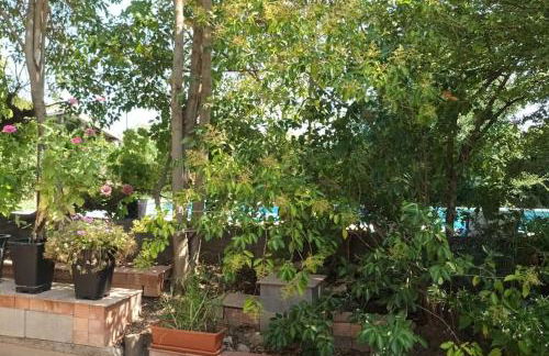 Finca Marina Turismo Rural - Foto 49