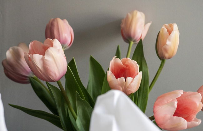 Cathedral Yard in Exeter - Foto 28