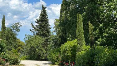 Casa Sant Angelo - Photo 2