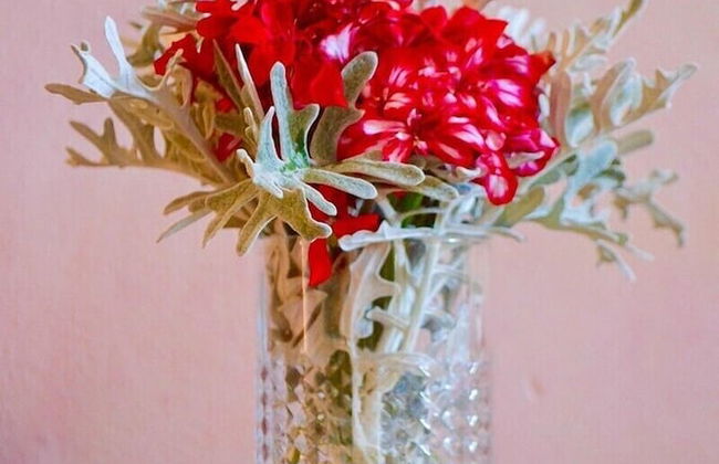 Ars Naturae Biologic Farm - Foto 53