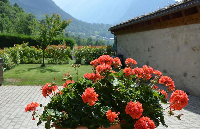 Appartamento Con Giardino - Foto 12