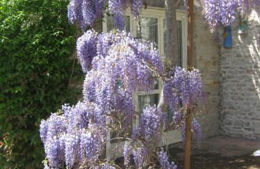 Agriturismo Cascina Serra - Foto 51