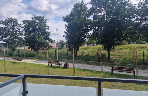 Apartament Słoneczny Taras nad Baryczą - Foto 19