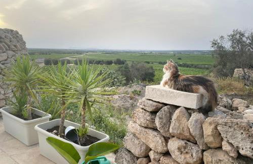 B&B Borgo Monacizzo - Foto 72