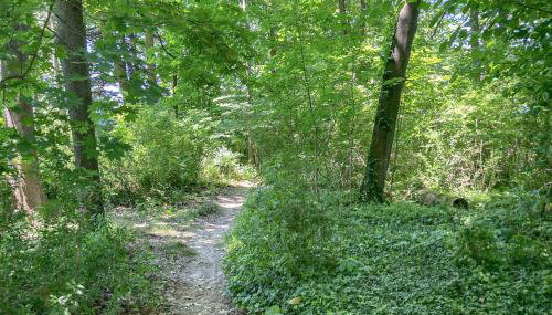 Lake Michigan Adventures - Foto 3