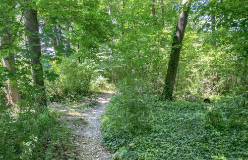 Lake Michigan Adventures - Foto 3