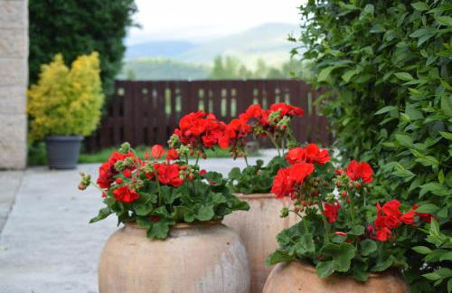 Casa Rural Galain - Foto 20