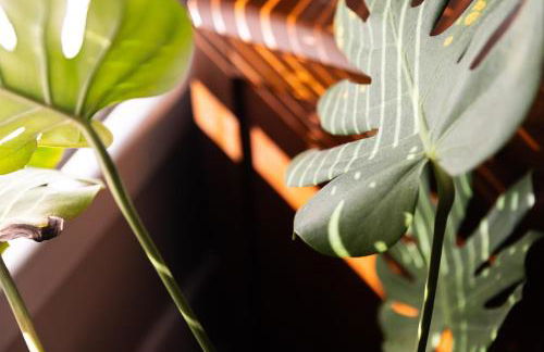 Southern Charm & Modern Comfort - Foto 53