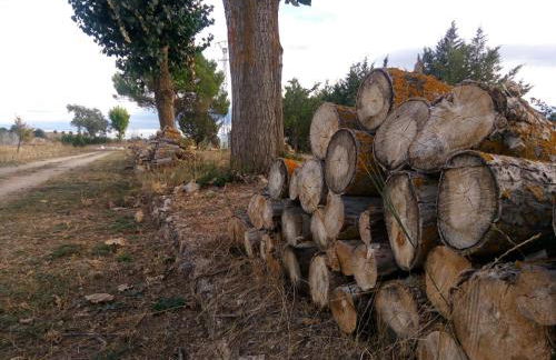 Los Tobares - Foto 39