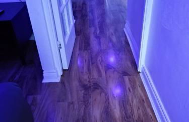 Barnsley cozy home - Foto 17