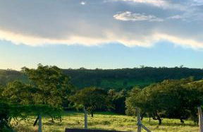 Fazendinha LS - Foto 26