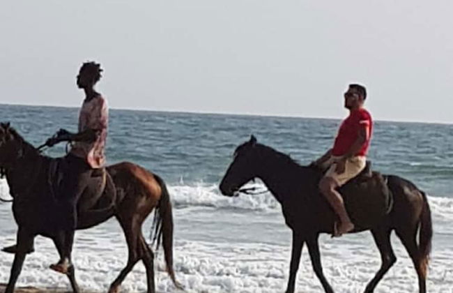 Résidence Lamadré - Foto 15