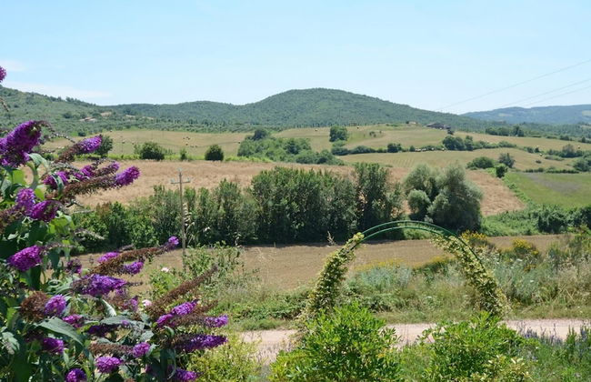 Tr-i381-svim0at - Podere Pomasciano 10 - Foto 21