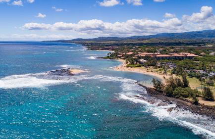 Prince Kuhio 110 - Foto 53