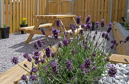 Broom Cottage Close To The Beach & Pwllheli Marina - Foto 23