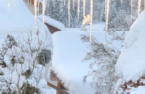 Haus Hubertus - Photo 24