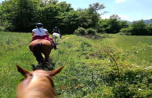 Farmhouse With Stables, Horses and the Ability to Make Horseback Riding - Photo 68