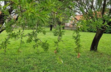 Gabriella House - Photo 44