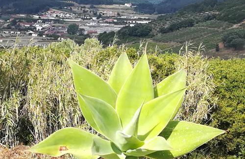 Casal Mala-Posta - Foto 24