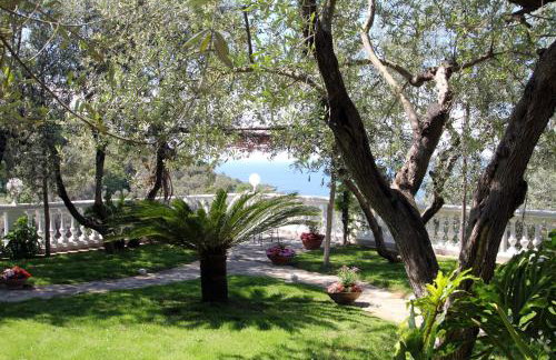 Tenuta Camporosso - Photo 9