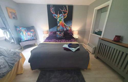 Modernised 1720s Cottage, Newton Stewart, Scotland - Photo 21