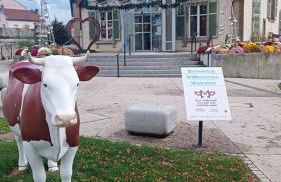 Résidence Le Château - Foto 31