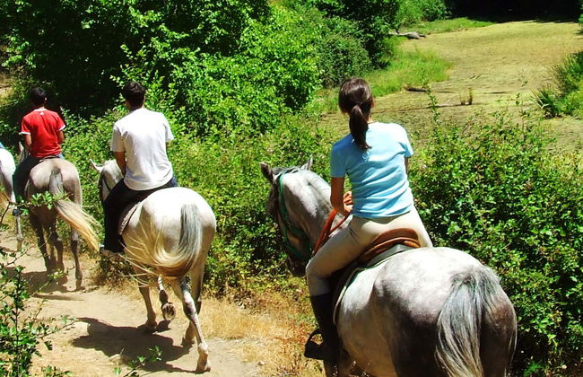 Paseo a caballo por el norte de Aruba - Foto 3